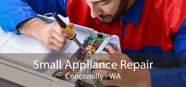 Small Appliance Repair Conconully - WA