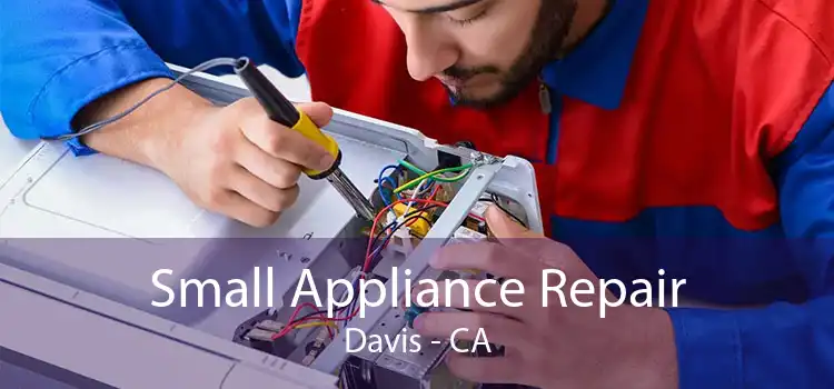 Small Appliance Repair Davis - CA