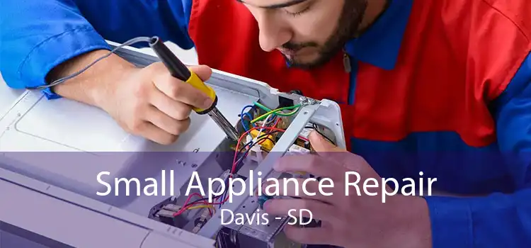 Small Appliance Repair Davis - SD