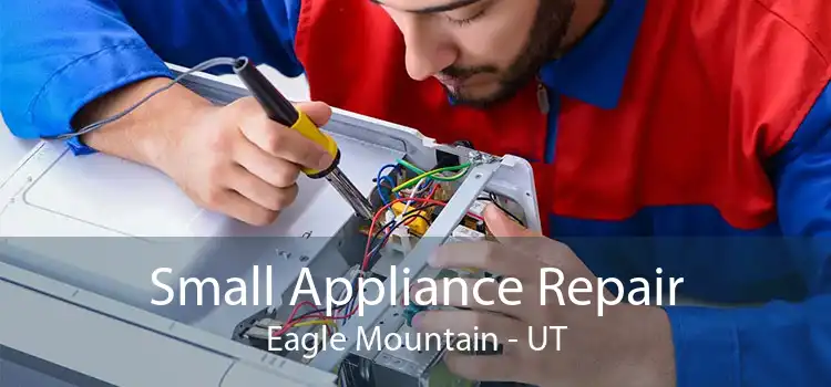 Small Appliance Repair Eagle Mountain - UT