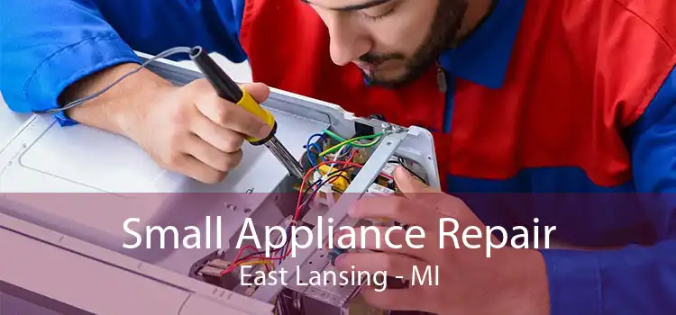Small Appliance Repair East Lansing - MI