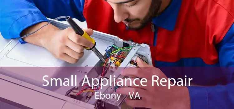 Small Appliance Repair Ebony - VA
