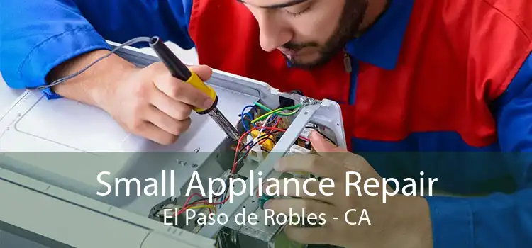 Small Appliance Repair El Paso de Robles - CA