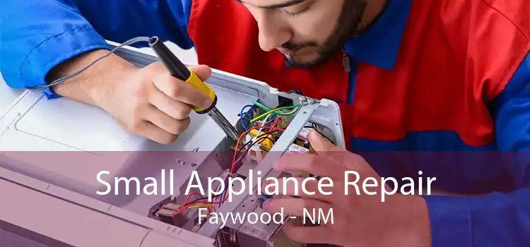 Small Appliance Repair Faywood - NM