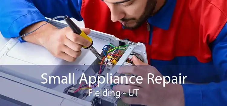 Small Appliance Repair Fielding - UT