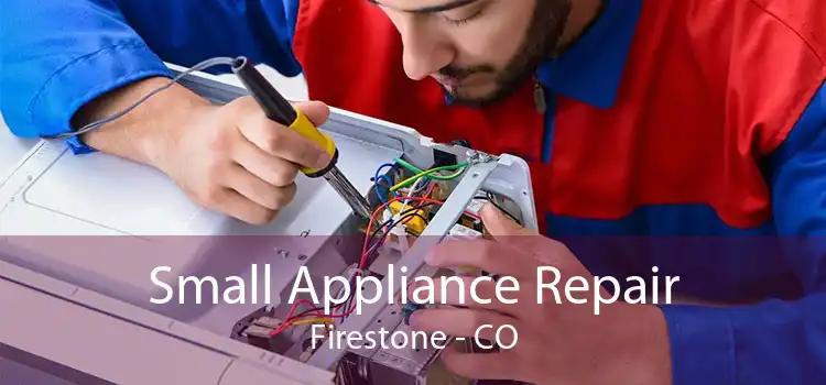 Small Appliance Repair Firestone - CO