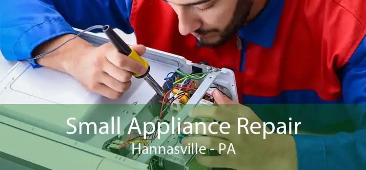 Small Appliance Repair Hannasville - PA