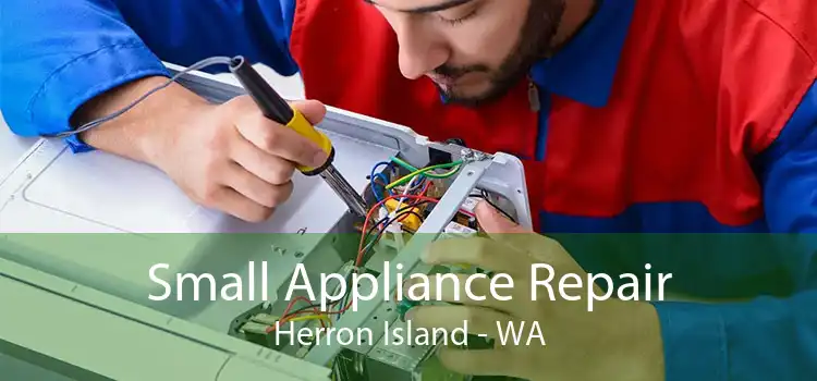 Small Appliance Repair Herron Island - WA