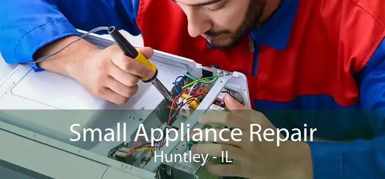 Small Appliance Repair Huntley - IL