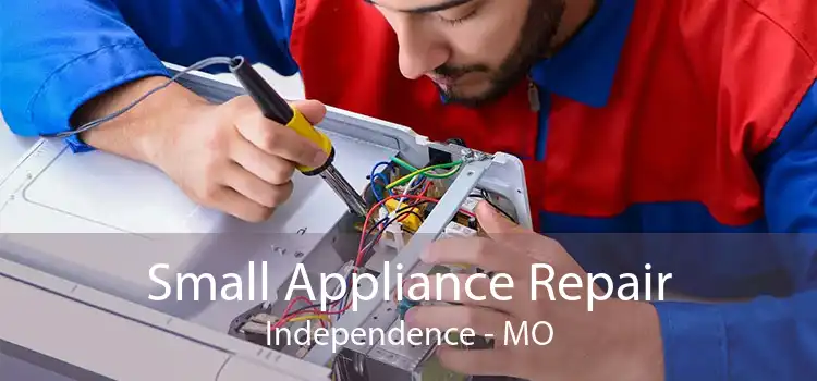 Small Appliance Repair Independence - MO