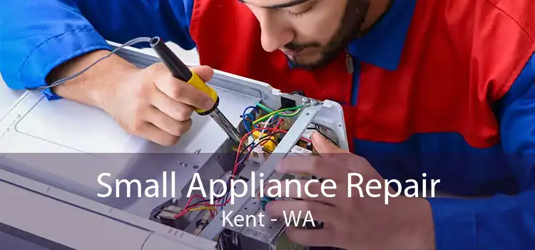Small Appliance Repair Kent - WA