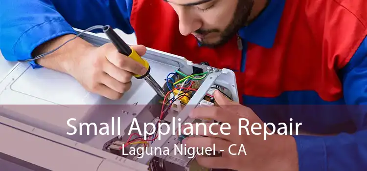 Small Appliance Repair Laguna Niguel - CA