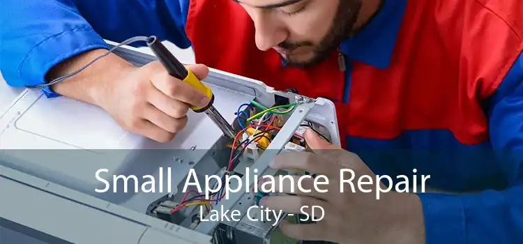 Small Appliance Repair Lake City - SD