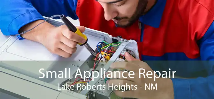 Small Appliance Repair Lake Roberts Heights - NM
