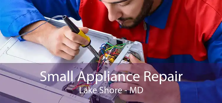 Small Appliance Repair Lake Shore - MD