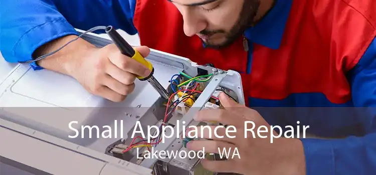 Small Appliance Repair Lakewood - WA