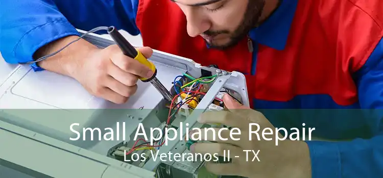 Small Appliance Repair Los Veteranos II - TX
