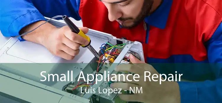 Small Appliance Repair Luis Lopez - NM