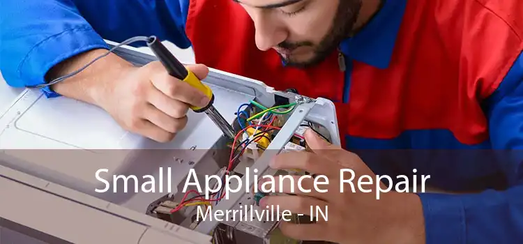 Small Appliance Repair Merrillville - IN