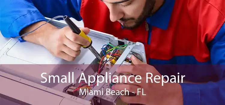 Small Appliance Repair Miami Beach - FL