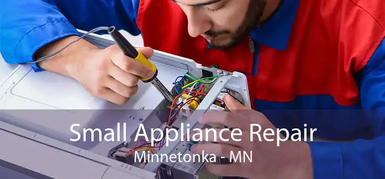 Small Appliance Repair Minnetonka - MN
