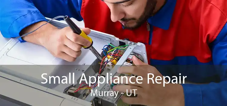 Small Appliance Repair Murray - UT
