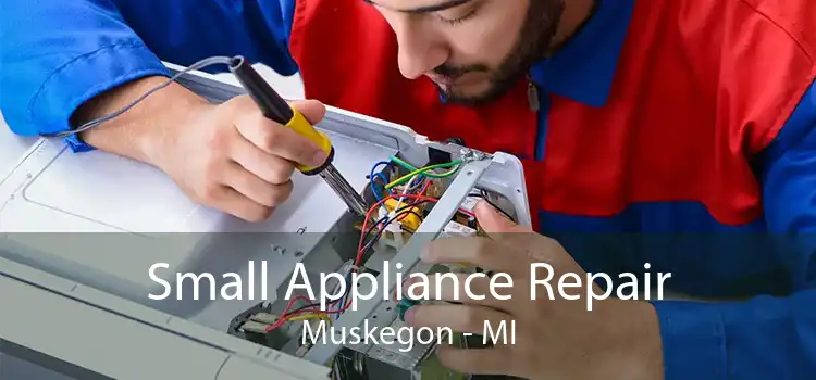 Small Appliance Repair Muskegon - MI