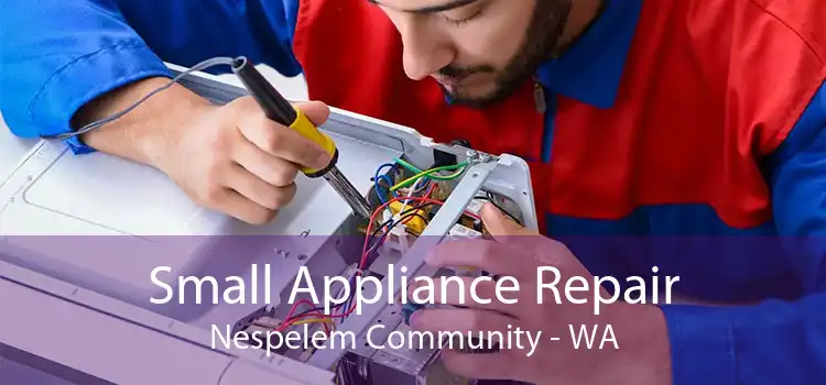 Small Appliance Repair Nespelem Community - WA