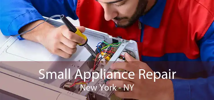 Small Appliance Repair New York - NY