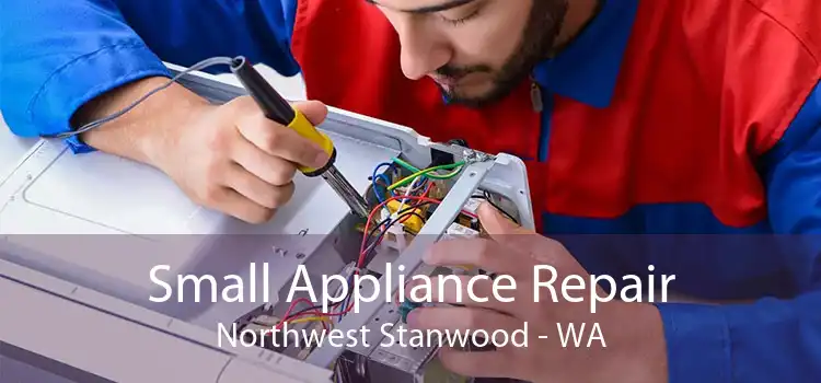 Small Appliance Repair Northwest Stanwood - WA