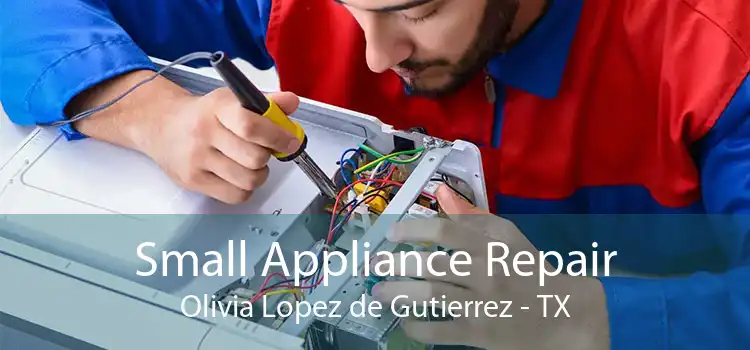 Small Appliance Repair Olivia Lopez de Gutierrez - TX