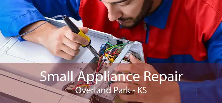 Small Appliance Repair Overland Park - KS