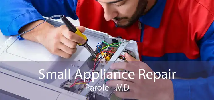 Small Appliance Repair Parole - MD