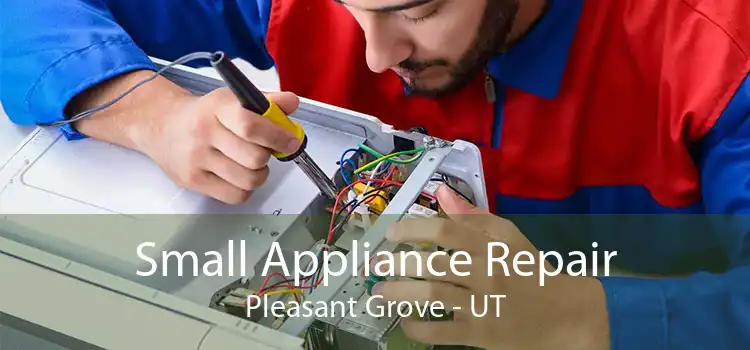 Small Appliance Repair Pleasant Grove - UT