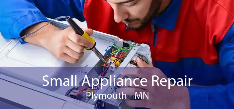 Small Appliance Repair Plymouth - MN