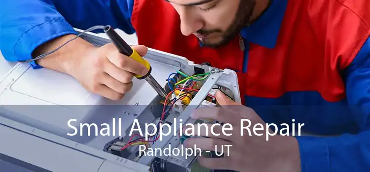 Small Appliance Repair Randolph - UT