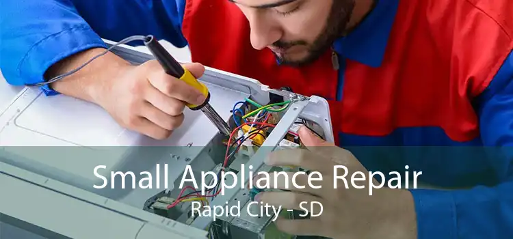 Small Appliance Repair Rapid City - SD