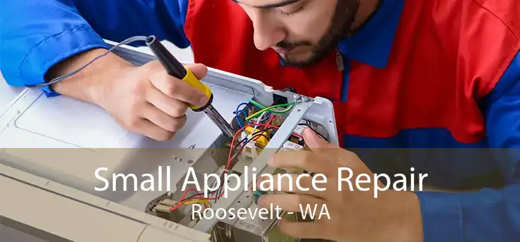 Small Appliance Repair Roosevelt - WA