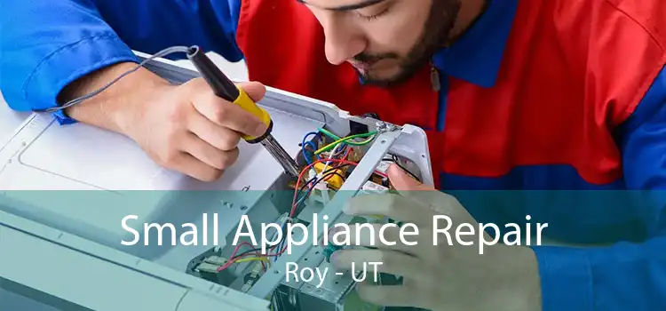 Small Appliance Repair Roy - UT