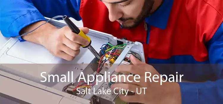 Small Appliance Repair Salt Lake City - UT