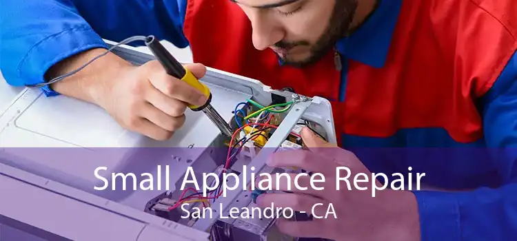 Small Appliance Repair San Leandro - CA