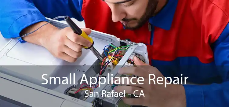 Small Appliance Repair San Rafael - CA