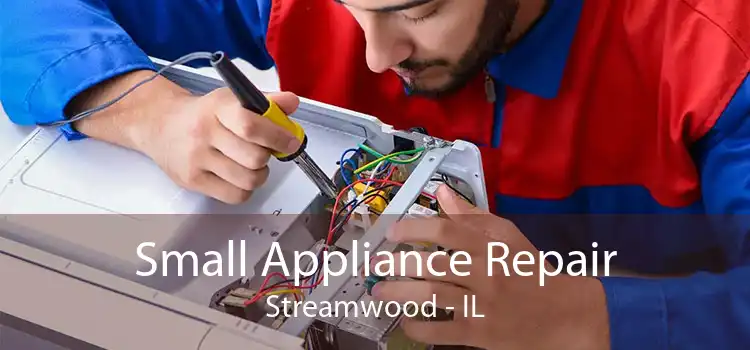 Small Appliance Repair Streamwood - IL