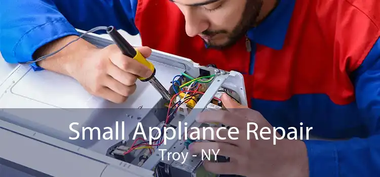 Small Appliance Repair Troy - NY