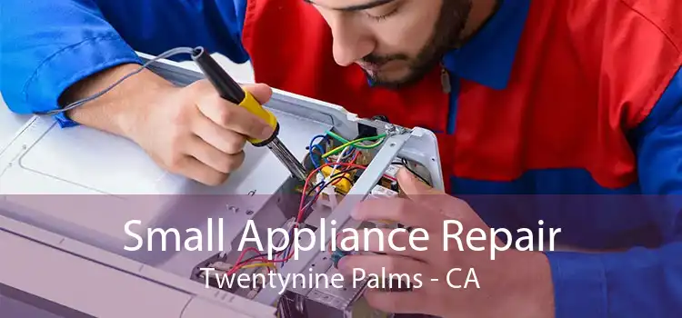 Small Appliance Repair Twentynine Palms - CA