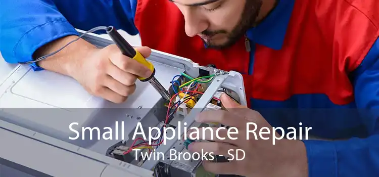 Small Appliance Repair Twin Brooks - SD