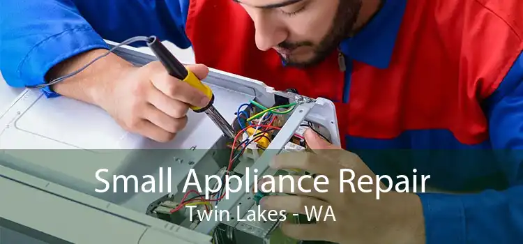 Small Appliance Repair Twin Lakes - WA