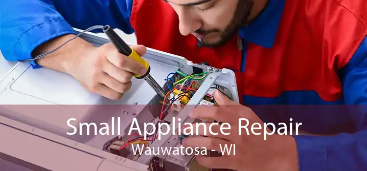 Small Appliance Repair Wauwatosa - WI