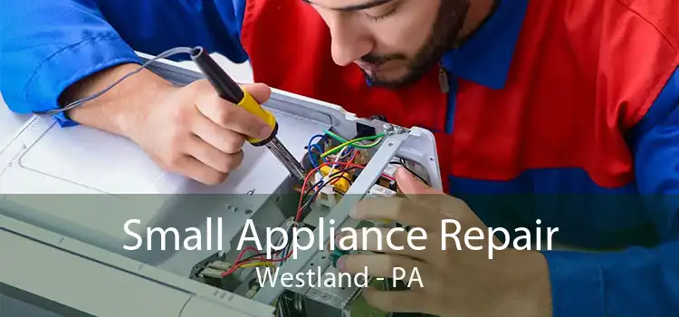 Small Appliance Repair Westland - PA