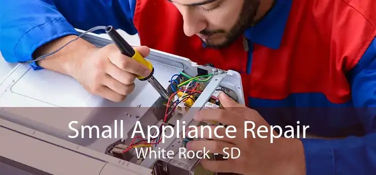 Small Appliance Repair White Rock - SD